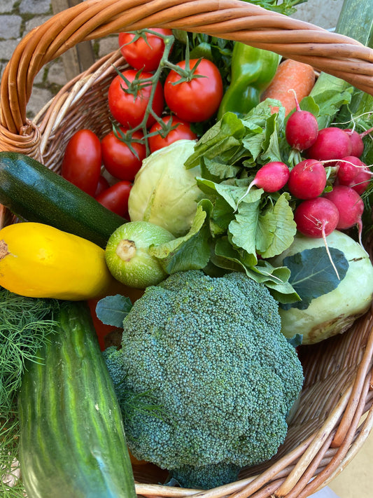 Lipödem und Ernährung. Was wirklich hilft...